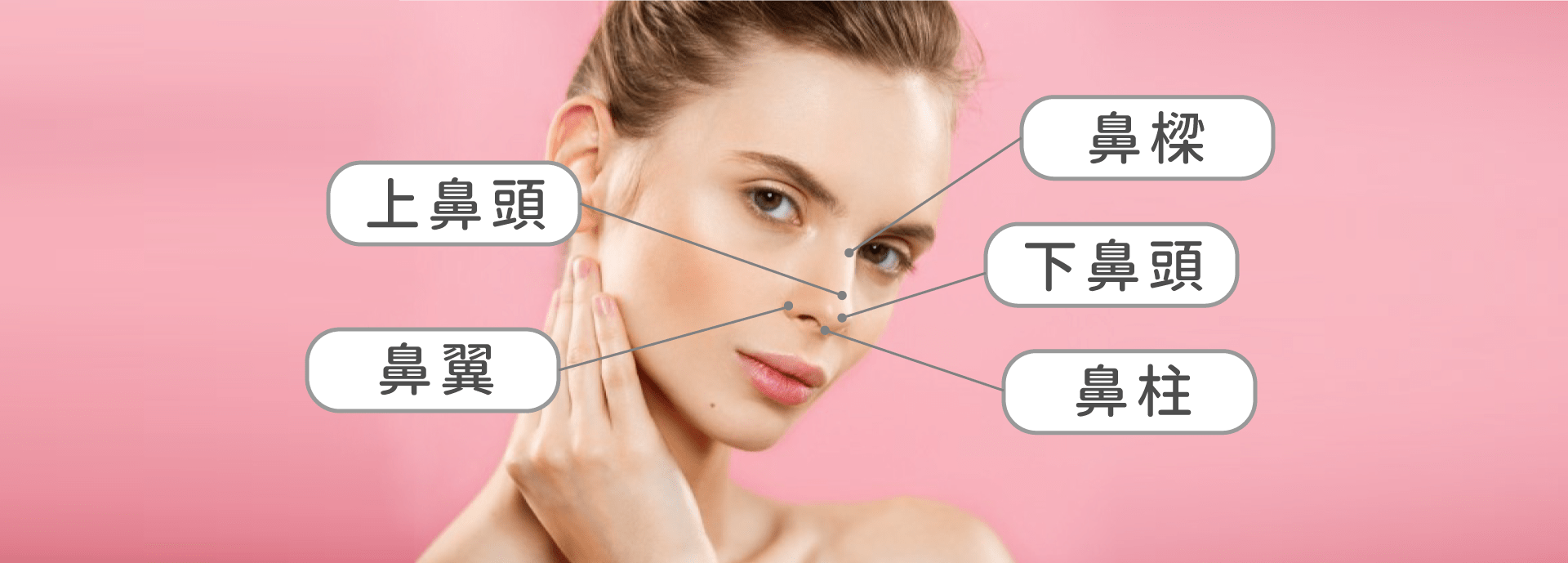 隆鼻部位圖
